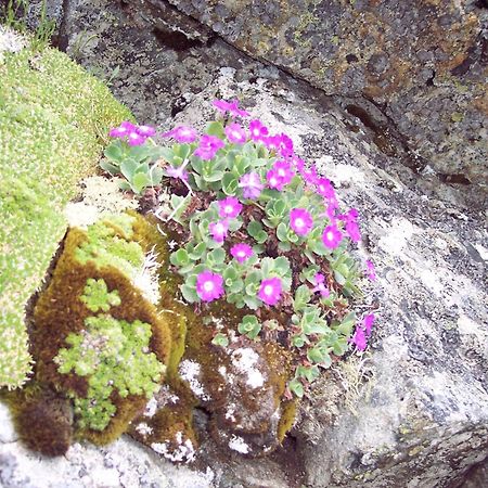 Les Clarines Perceneige - Chambre D'Hotes Vue Sur Montagne & Spa Saint-Jacques-en-Valgodemard ภายนอก รูปภาพ